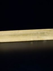 Skapolit