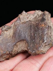 Meteorit